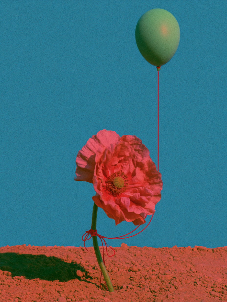 Rouge Coquelicot - Collection