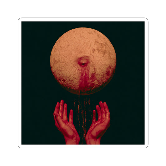 Praying To The Moon - Sticker