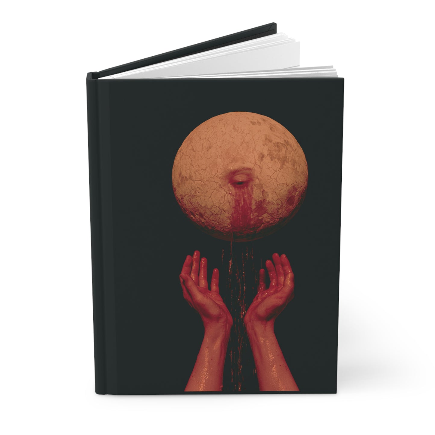Praying To The Moon - Journal