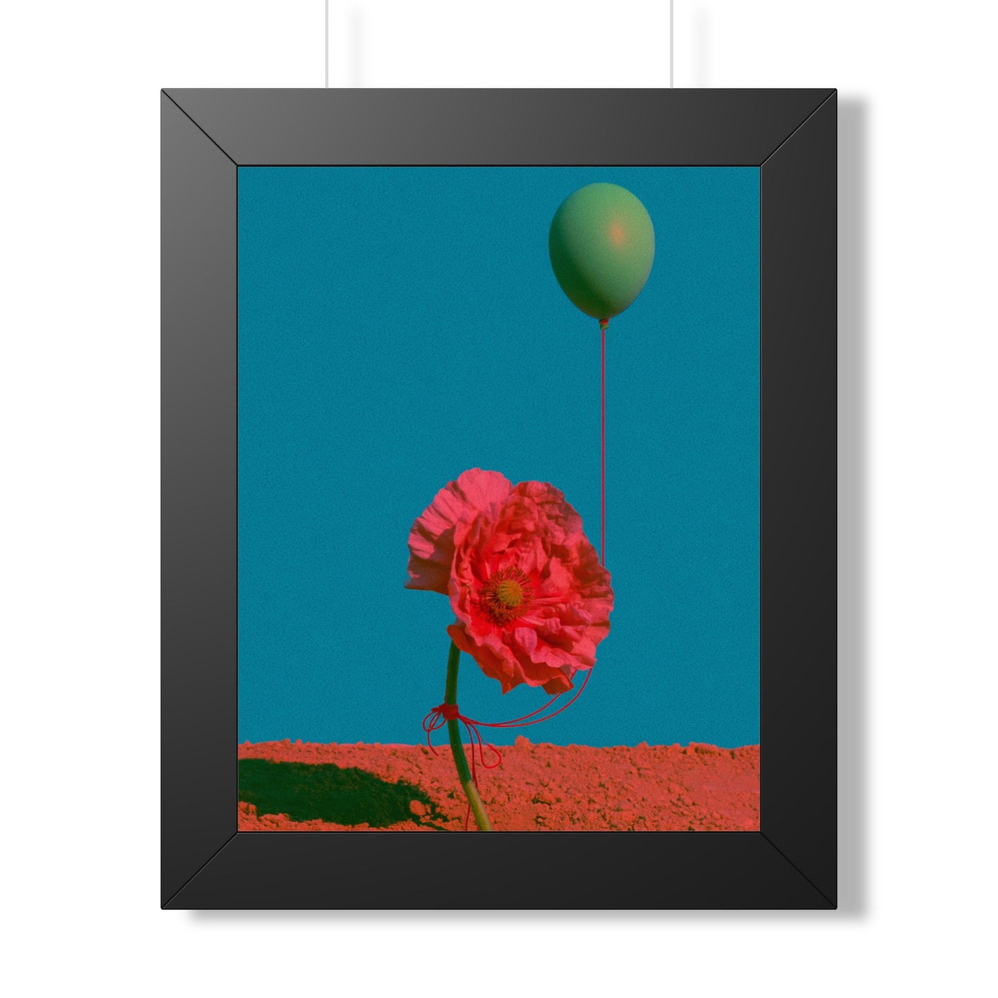 Rouge Coquelicot - Frame