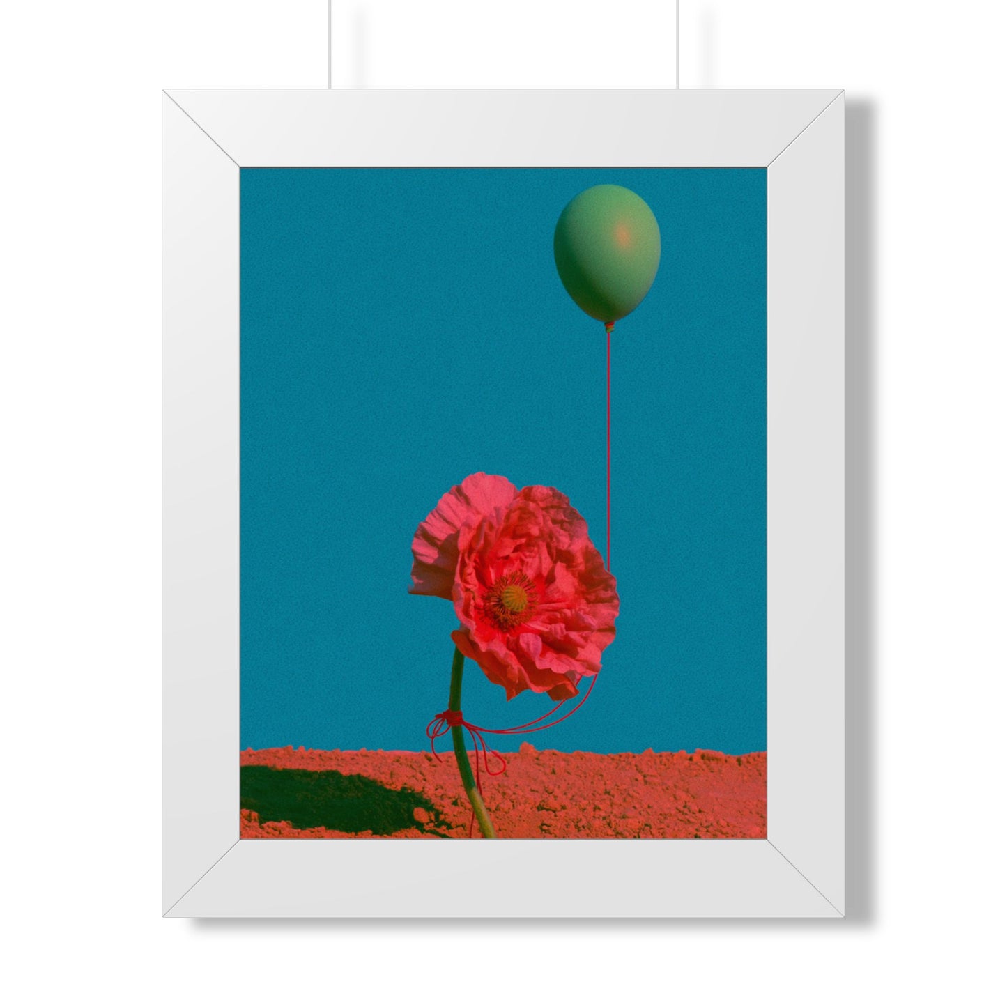 Rouge Coquelicot - Frame