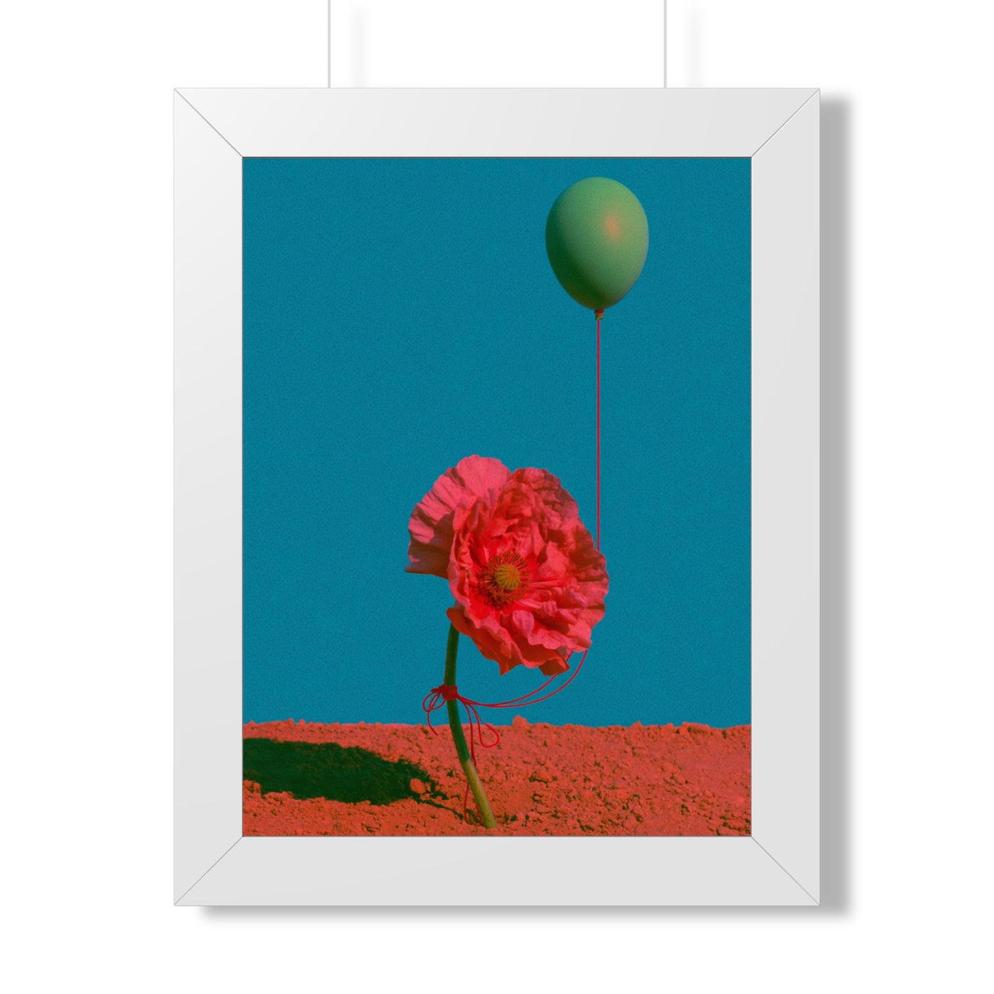 Rouge Coquelicot - Frame